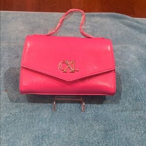 Vibrant Pink Clutch